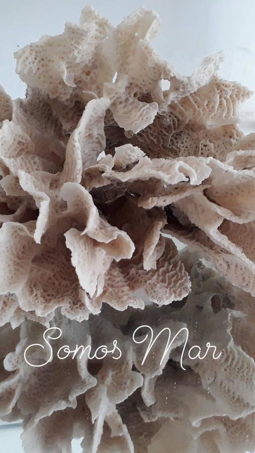 Sunset Hotel La Boquilla